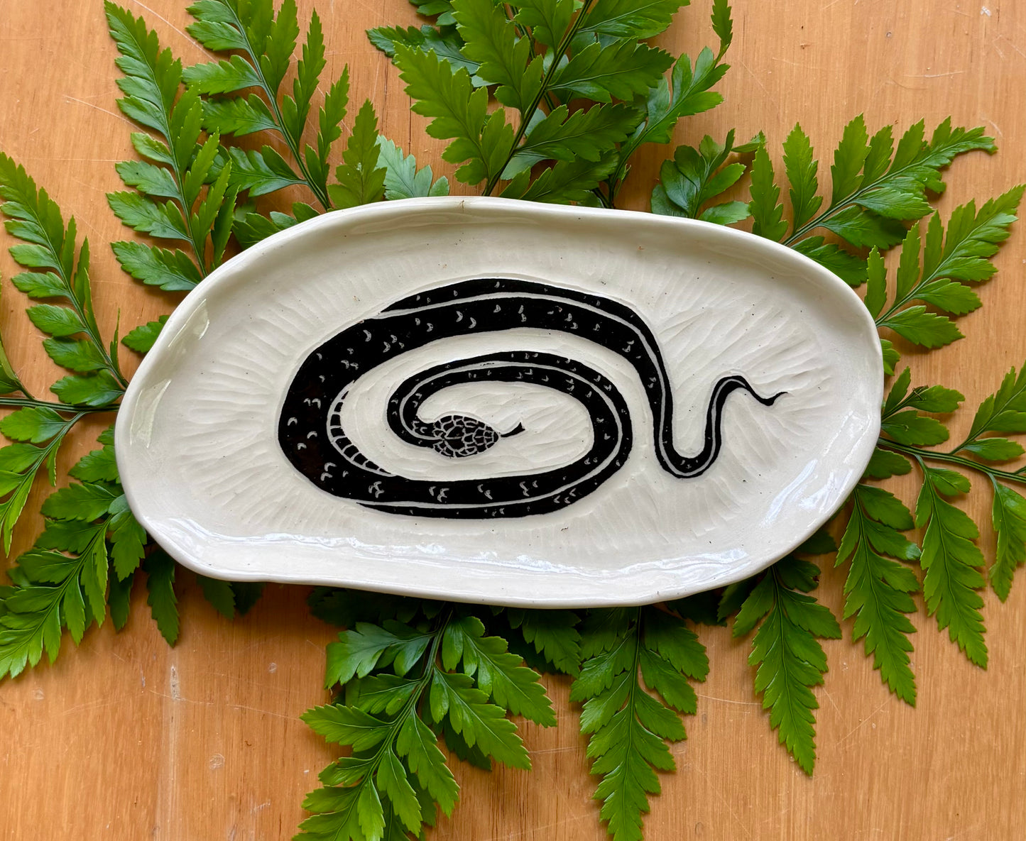 Snake dish
